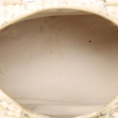 Monogram Mini Lin Speedy 30