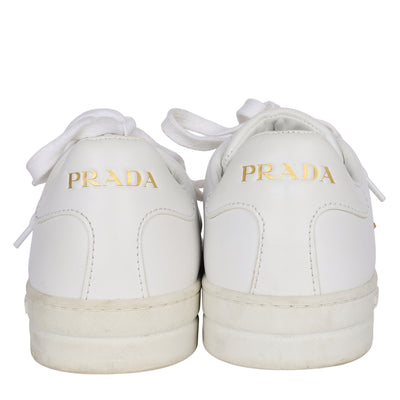 Downtown Bold Leather Low-Top Sneakers