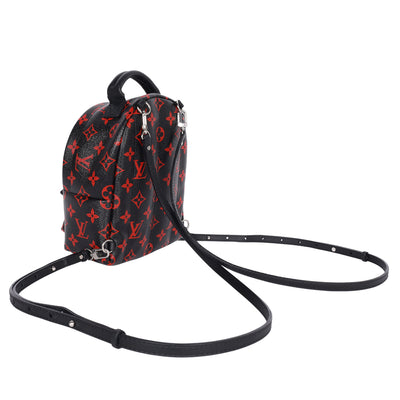 Monogram Palm Springs Backpack Mini