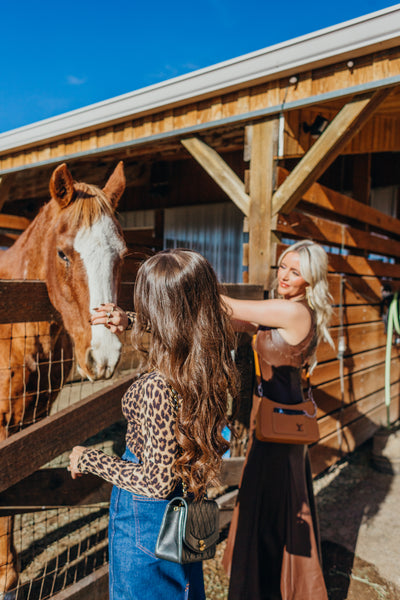 Classic Flap CC Leather Diana 22 Cross Body Bag